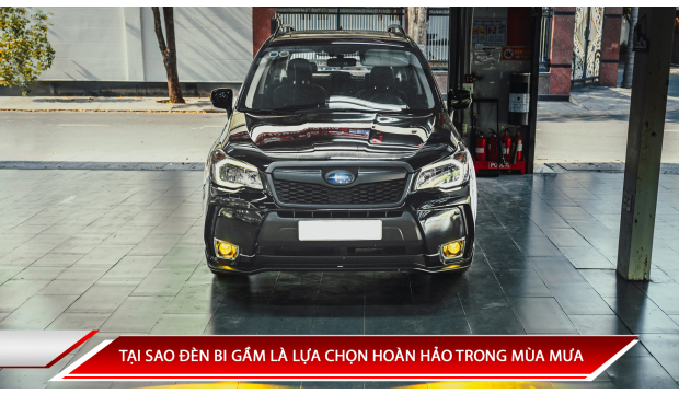 TẠI SAO ĐÈN BI GẦM LÀ LỰA CHỌN HOÀN HẢO TRONG MÙA MƯA?